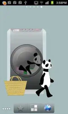 Play Panda washing Live Wallpaper