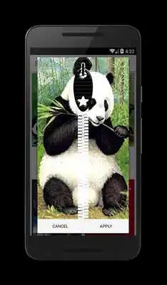 Play Panda Zipper Lock Screen