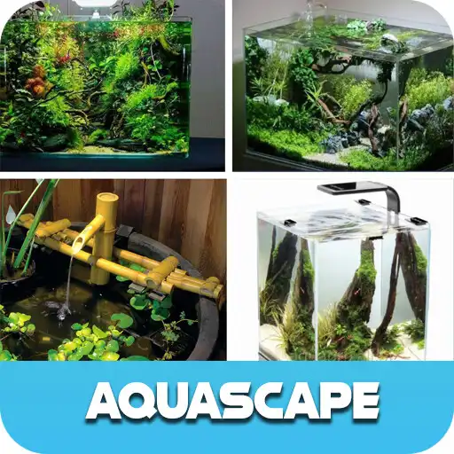 Play Panduan Aquascape Untuk Pemula APK