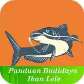 Free play online Panduan Budidaya Lele APK