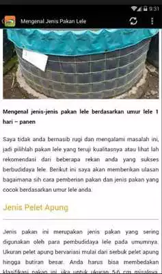 Play Panduan Budidaya Lele