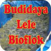 Free play online Panduan Lengkap Budidaya Lele Bioflok APK Free play online Panduan Lengkap Budidaya Lele Bioflok APK