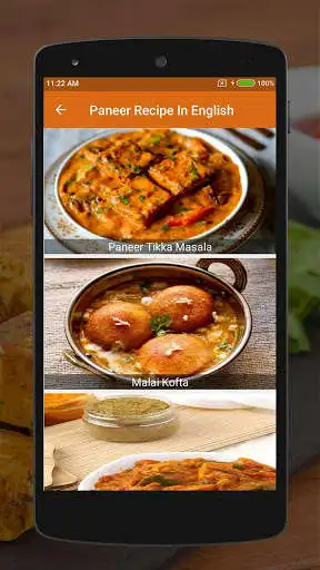 Play Paneer Recipes in English