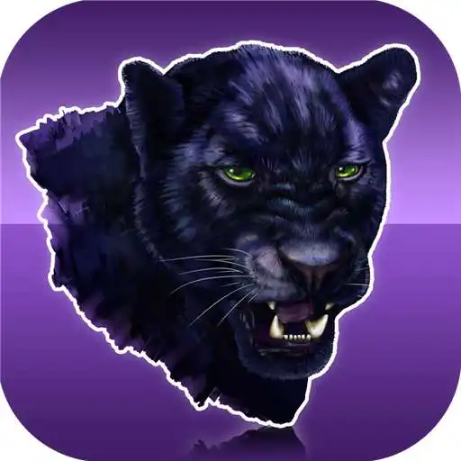 Play Panhandle ISD APK