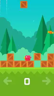 Play Panic Birds