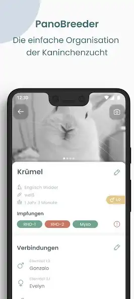 Play PanoBreeder - Kaninchenzucht  and enjoy PanoBreeder - Kaninchenzucht with UptoPlay