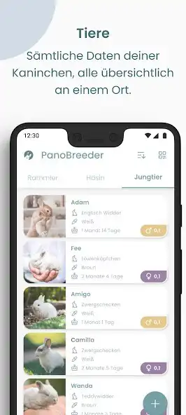 Play PanoBreeder - Kaninchenzucht as an online game PanoBreeder - Kaninchenzucht with UptoPlay