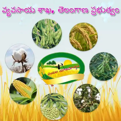 Play Pantala Yajamanyam APK