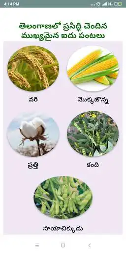Play Pantala Yajamanyam as an online game Pantala Yajamanyam with UptoPlay