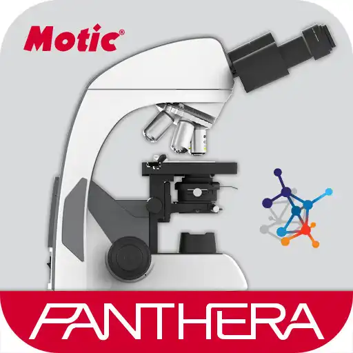Play Panthera APK Play Panthera APK