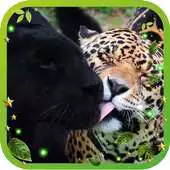 Free play online Panthera Love live wallpaper APK Free play online Panthera Love live wallpaper APK