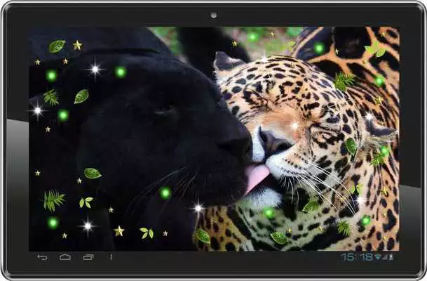 Play Panthera Love live wallpaper