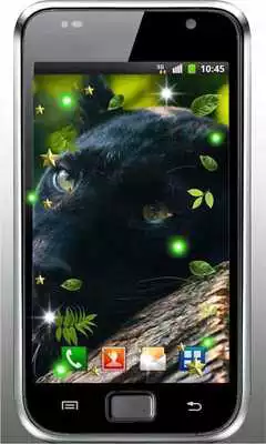 Play Panthera Love live wallpaper
