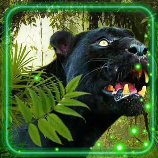 Play Panther Jungle Live Wallpaper APK