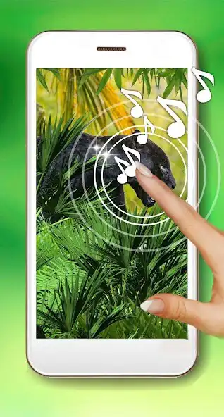 Play Panther Jungle Live Wallpaper  and enjoy Panther Jungle Live Wallpaper with UptoPlay