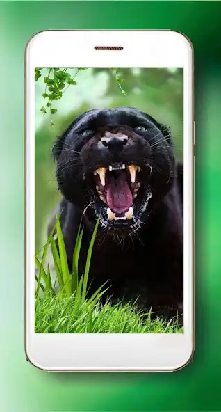 Play Panther Jungle Live Wallpaper as an online game Panther Jungle Live Wallpaper with UptoPlay