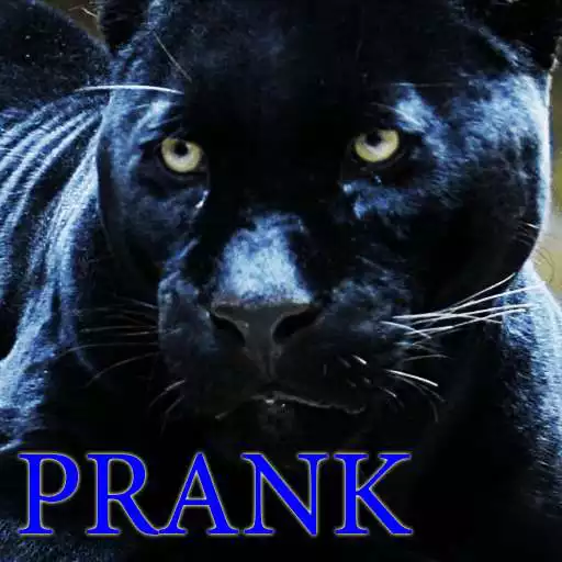 Free play online Panther leopard animal sounds APK Free play online Panther leopard animal sounds APK