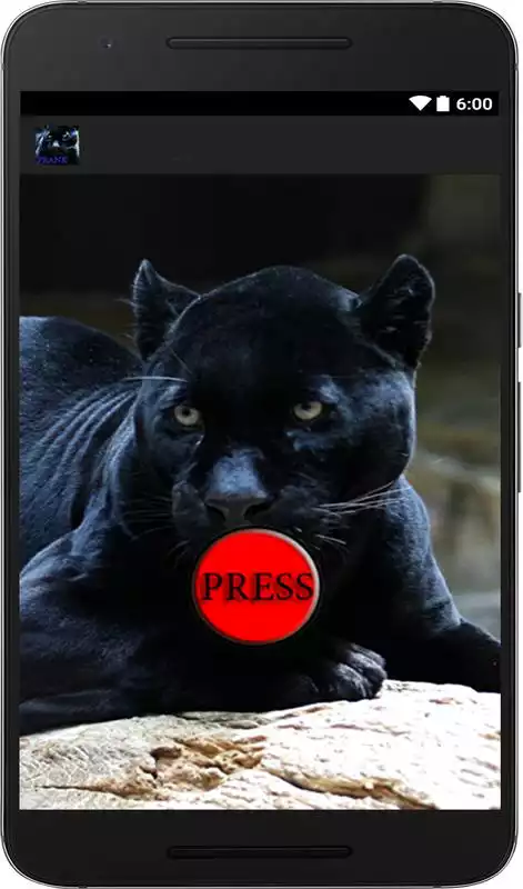 Play Panther leopard animal sounds