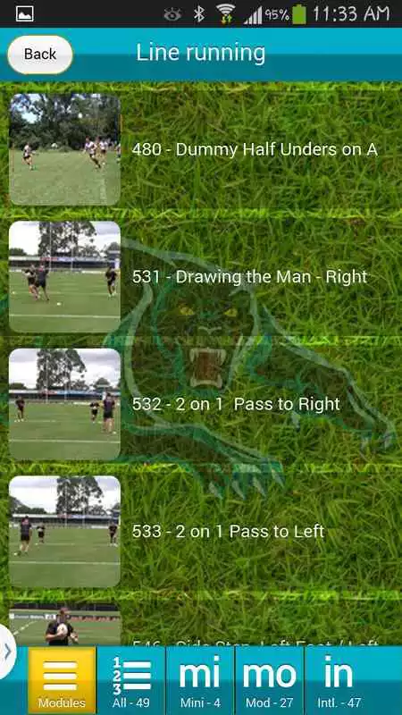 Play Panthers Complete League Coach