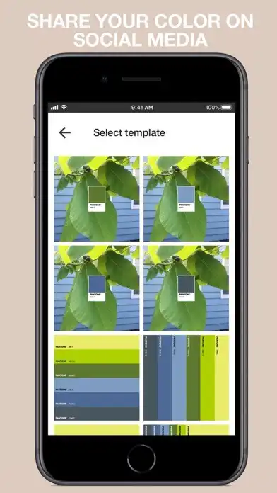 Play Pantone Connect as an online game Pantone Connect with UptoPlay