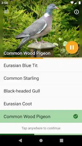 Play Papageno: Birdsong Tutor  and enjoy Papageno: Birdsong Tutor with UptoPlay