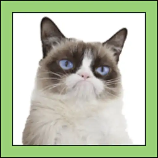 Play Paperplane VS Cats IN SPACE APK Play Paperplane VS Cats IN SPACE APK