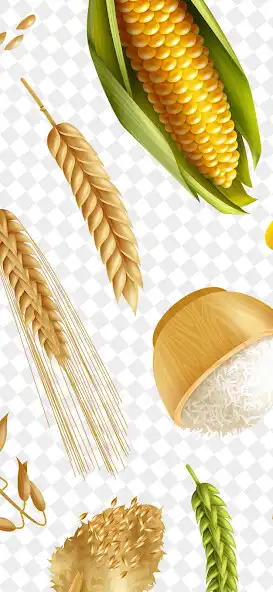 Play PAPRYCA as an online game online PAPRYCA with UptoPlay Play PAPRYCA as an online game PAPRYCA with UptoPlay