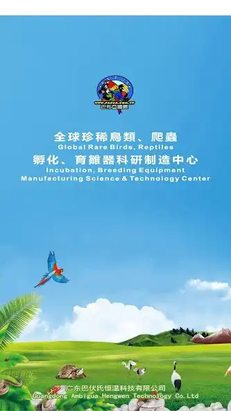 Play Papua  and enjoy Papua with UptoPlay
