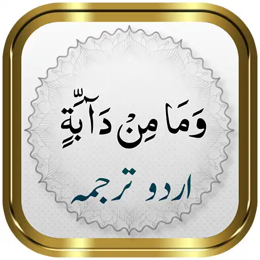 Play Para 12 + Urdu APK