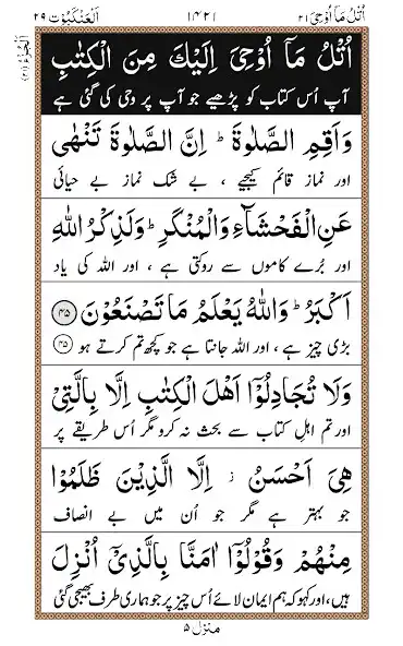 Play Para 21 + Urdu  and enjoy Para 21 + Urdu with UptoPlay