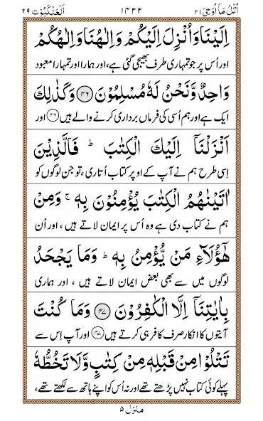 Play Para 21 + Urdu as an online game Para 21 + Urdu with UptoPlay