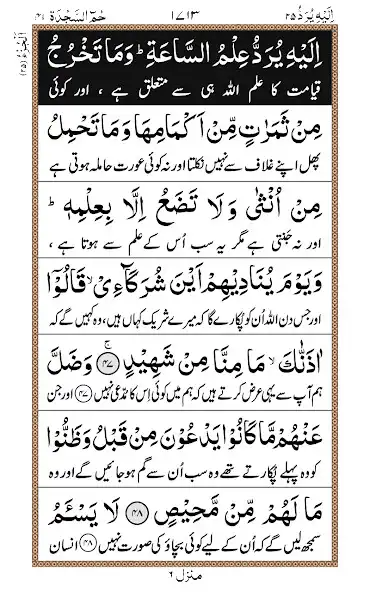 Play Para 25 + Urdu  and enjoy Para 25 + Urdu with UptoPlay