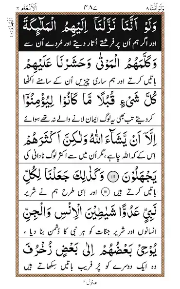 Play Para 8 + Urdu  and enjoy Para 8 + Urdu with UptoPlay