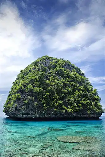 Play paradise island live wallpaper