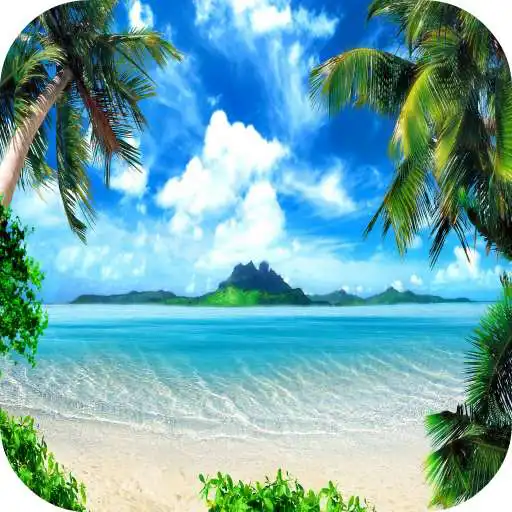 Play Paradise Live Wallpaper 4K APK