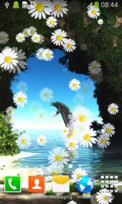Play Paradise Live Wallpapers