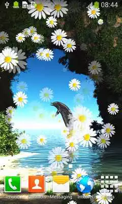 Play Paradise Live Wallpapers