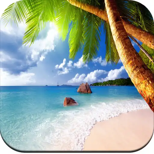 Play Paradise wallpaper APK Play Paradise wallpaper APK