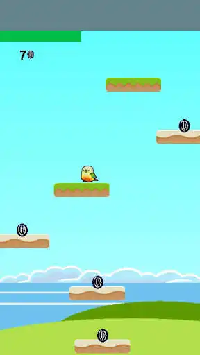 Play Parakeet Rush  and enjoy Parakeet Rush with UptoPlay
