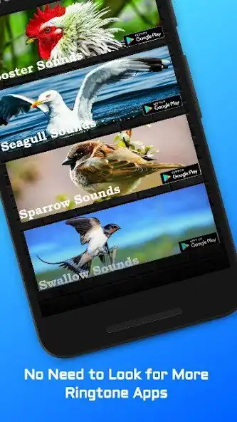 Play Parakeet Sounds as an online game Parakeet Sounds with UptoPlay