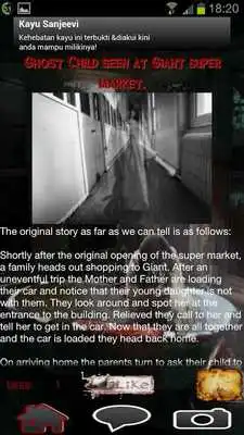 Play Paranormal Tracks