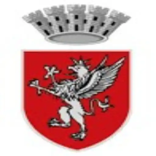 Play Parcheggi Perugia APK