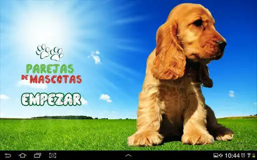 Play Pareja de Mascotas