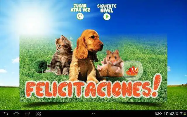 Play Pareja de Mascotas