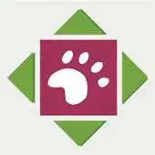Free play online Parejas animales APK