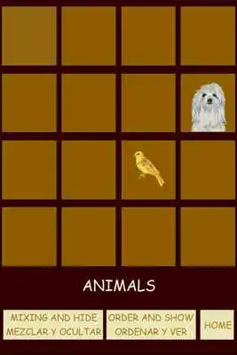 Play Parejas animales