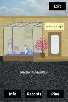 Play Parejas animales