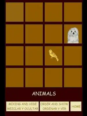 Play Parejas animales