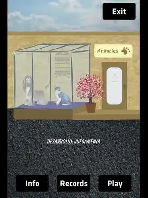 Play Parejas animales