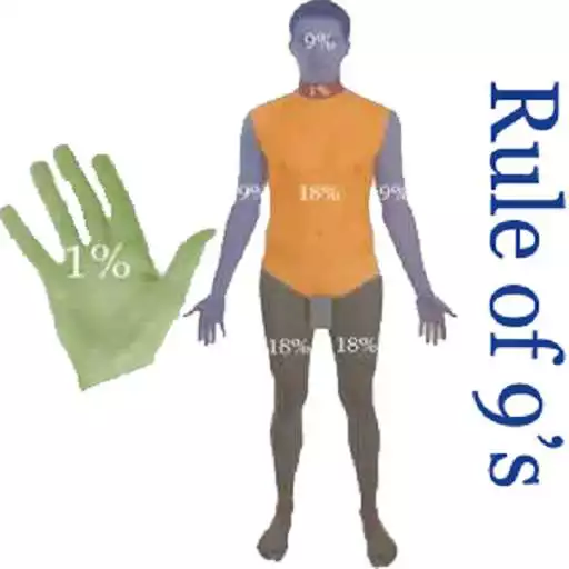 Play PARKLAND FORMULA APK